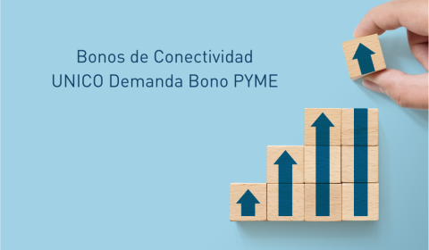  Bonos de Conectividad UNICO Demanda Bono PYME