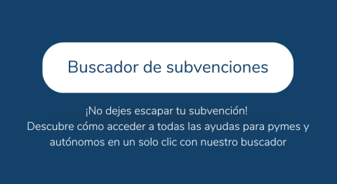 Buscador de subvenciones